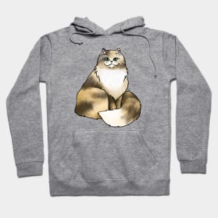 Cat - Persian - Calico Hoodie